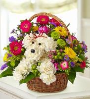 Ziegfield Florist, Gifts & Flower Delivery image 4
